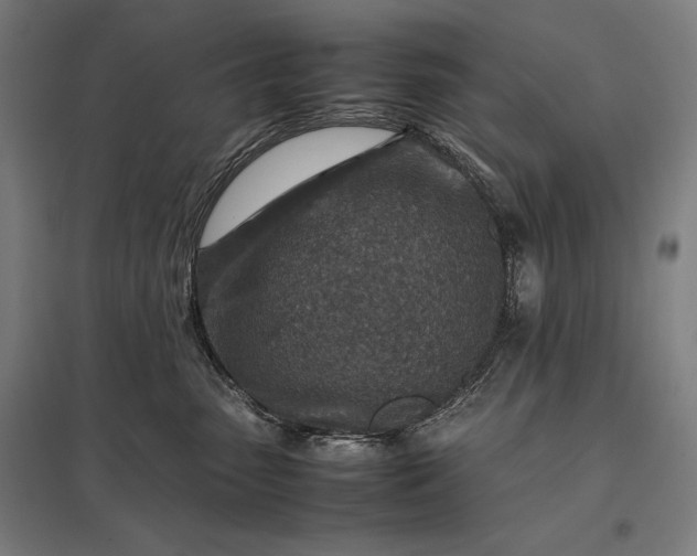 X0000097900475200803281343