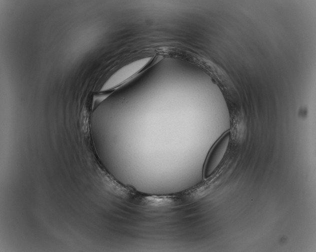 X0000097900477200803281343