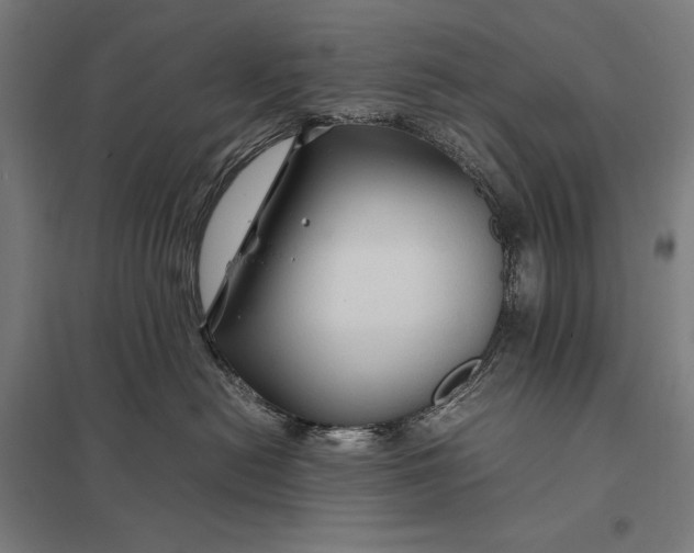 X0000097900478200803281343