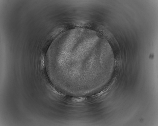 X0000097900479200803281343