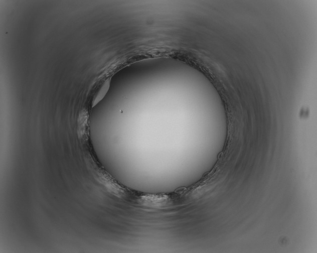 X0000097900480200803281343