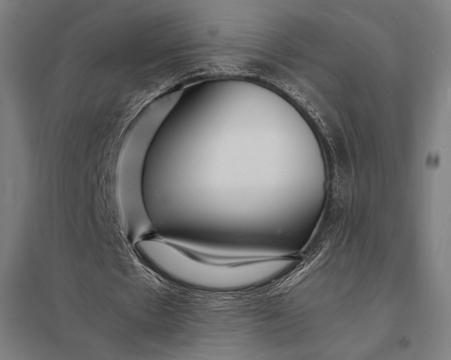 X0000097900481200803281342