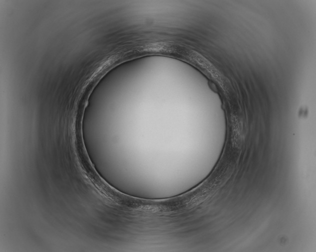 X0000097900482200803281342