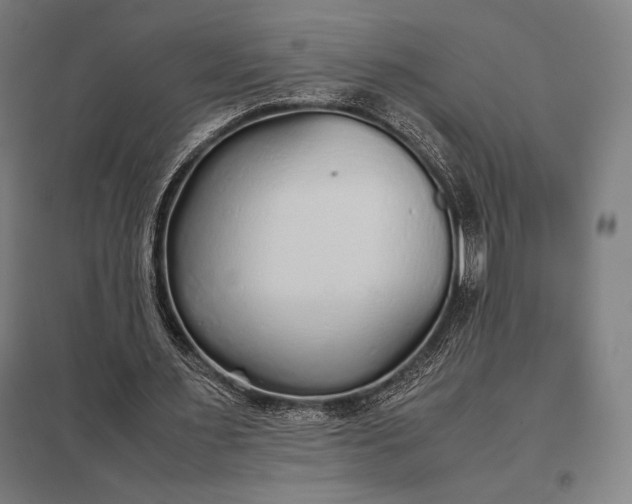 X0000097900483200803281342