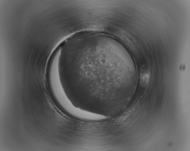 X0000097900484200803281342