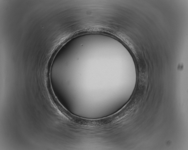 X0000097900485200803281342