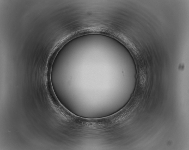 X0000097900486200803281342