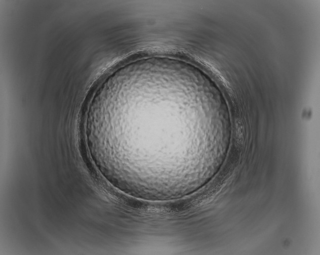 X0000097900487200803281342