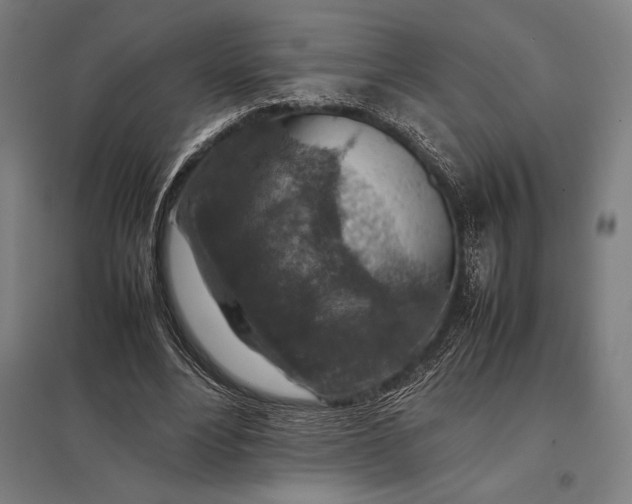 X0000097900488200803281342