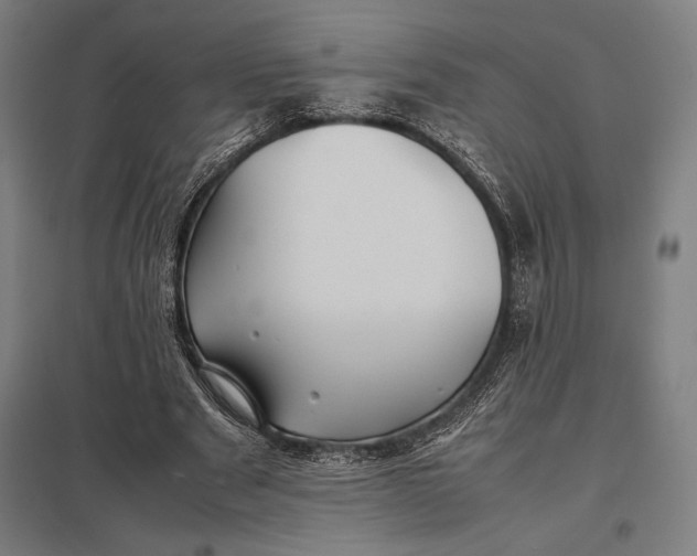 X0000097900489200803281342