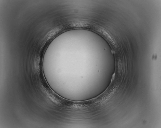 X0000097900490200803281342