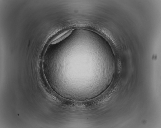 X0000097900491200803281342