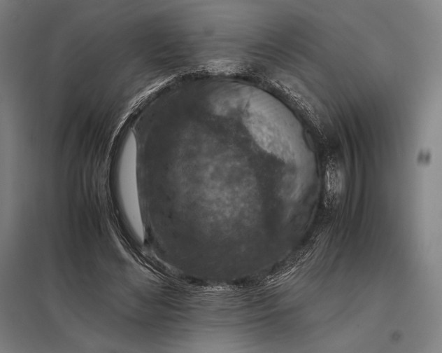 X0000097900492200803281342