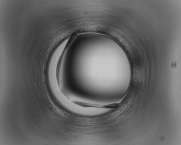 X0000097900493200803281342