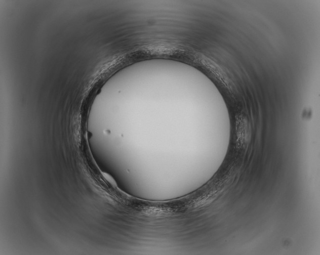 X0000097900494200803281342