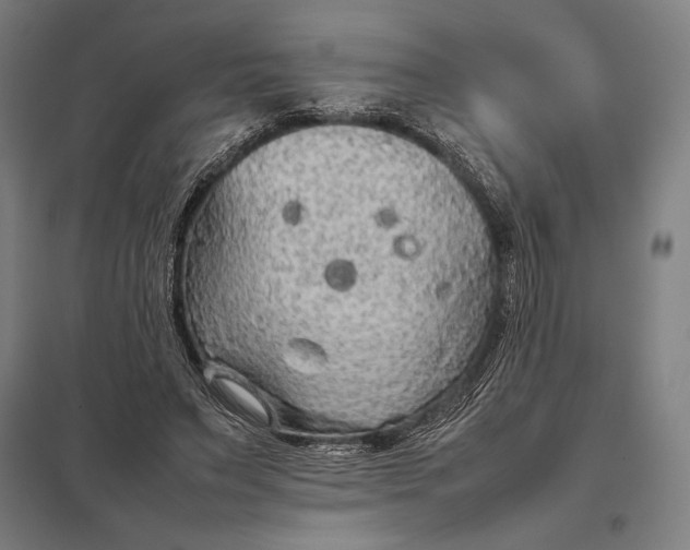 X0000097900495200803281342