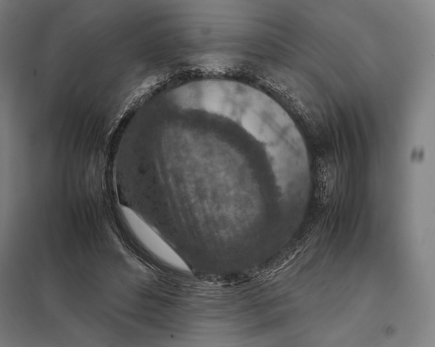 X0000097900496200803281342