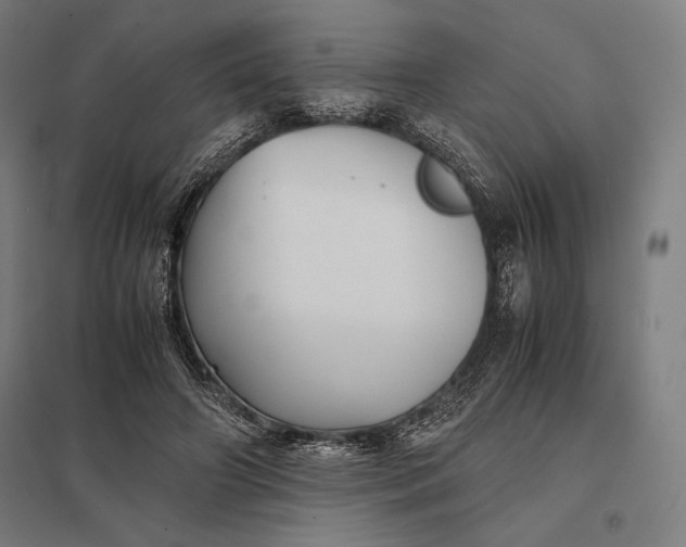 X0000097900498200803281342