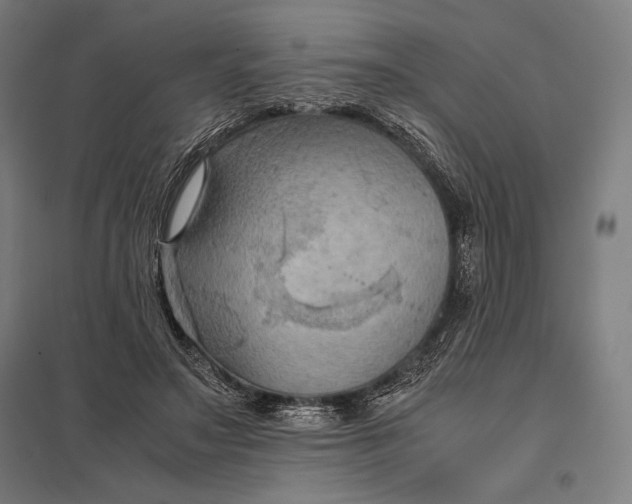 X0000097900499200803281342