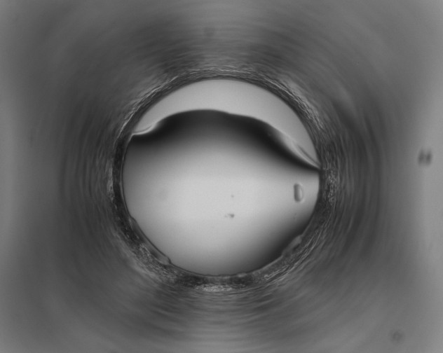 X0000097900500200803281342