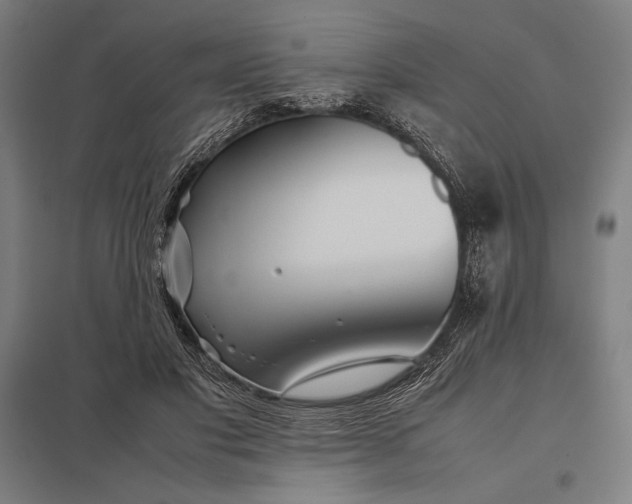 X0000097900501200803281342