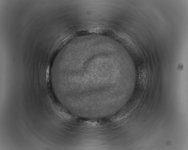 X0000097900502200803281342