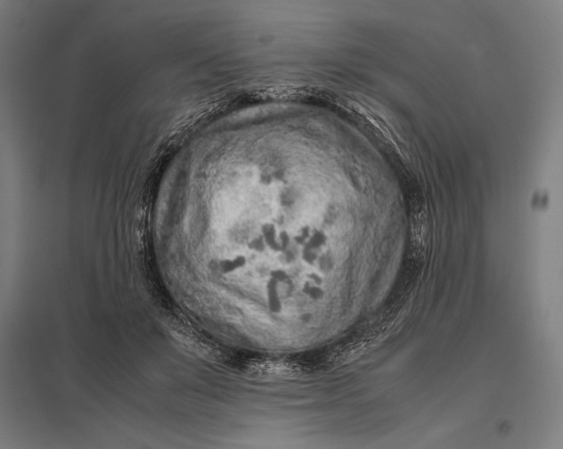 X0000097900503200803281342