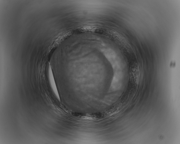 X0000097900504200803281342