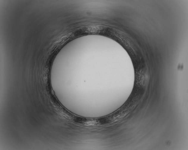 X0000097900505200803281342