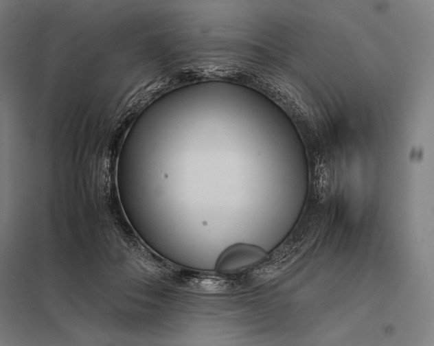 X0000097900506200803281342