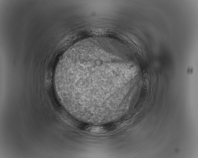 X0000097900507200803281342