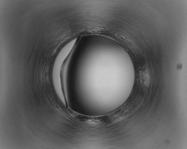 X0000097900508200803281342