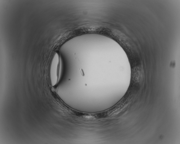 X0000097900509200803281342