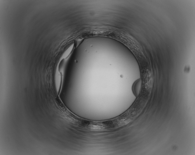 X0000097900510200803281342