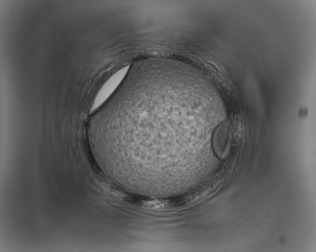 X0000097900511200803281342