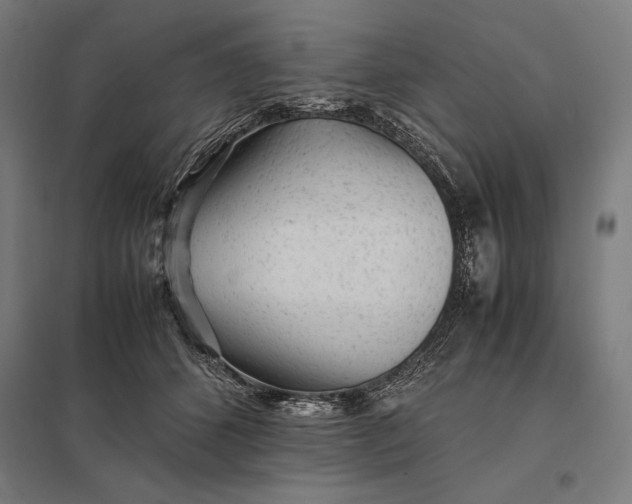 X0000097900512200803281342