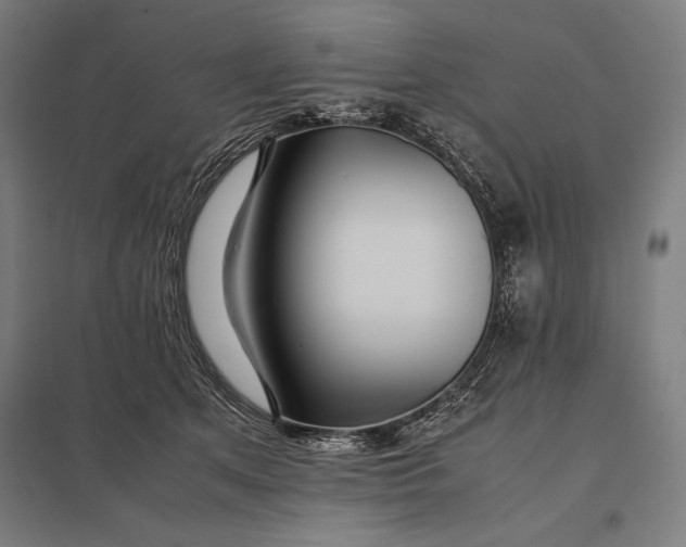 X0000097900513200803281342