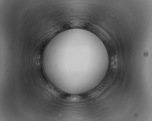 X0000097900514200803281342