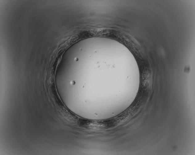 X0000097900515200803281342