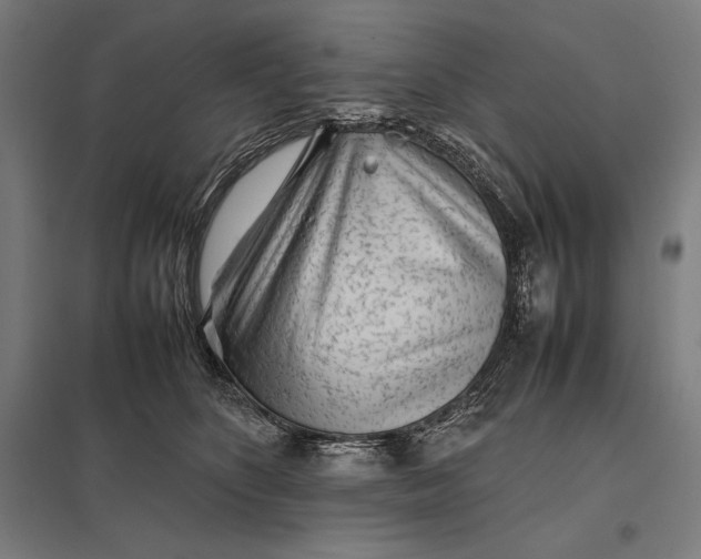 X0000097900516200803281342