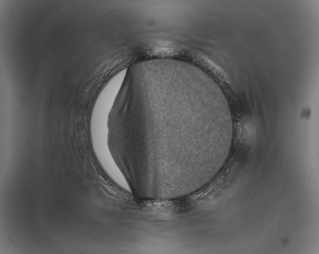 X0000097900517200803281342