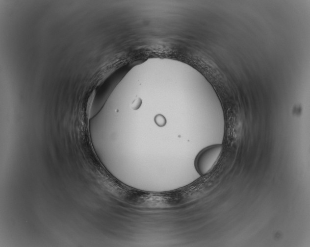 X0000097900518200803281342