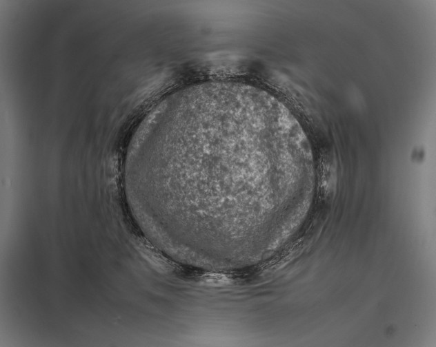 X0000097900519200803281342