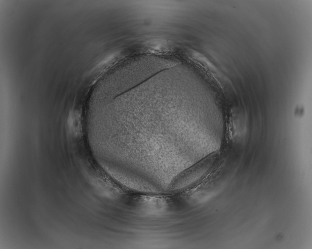 X0000097900520200803281342