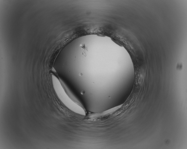 X0000097900521200803281342