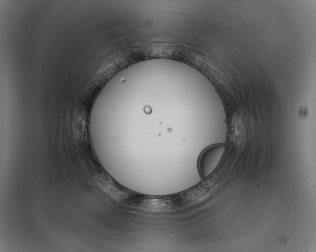 X0000097900522200803281342