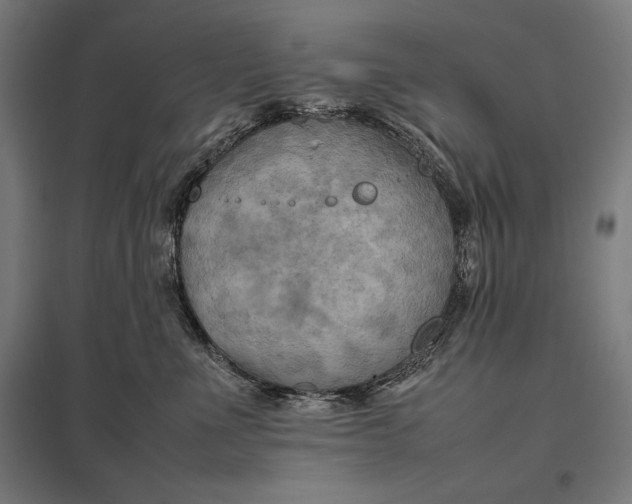 X0000097900523200803281342