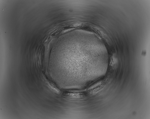 X0000097900524200803281342