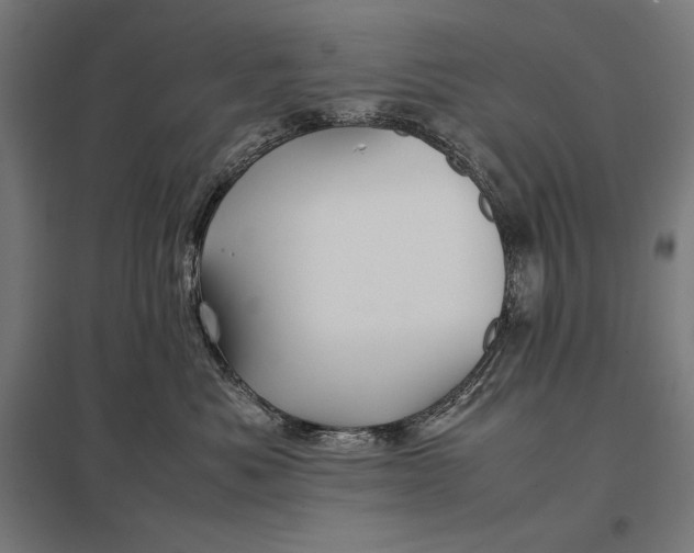 X0000097900525200803281342