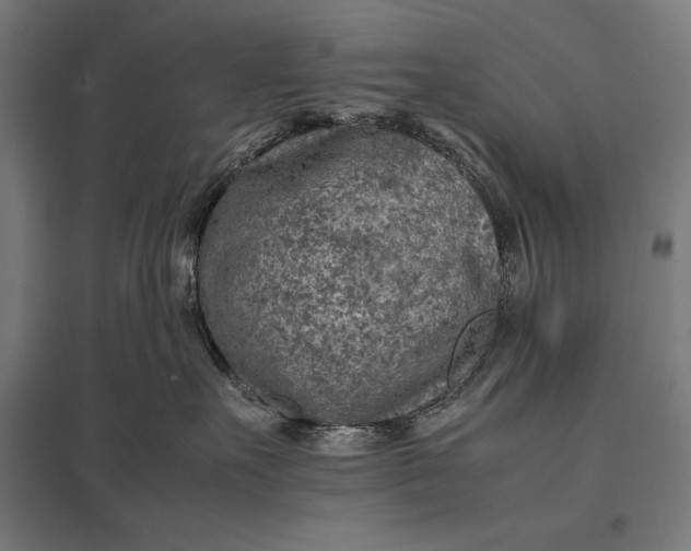 X0000097900527200803281342